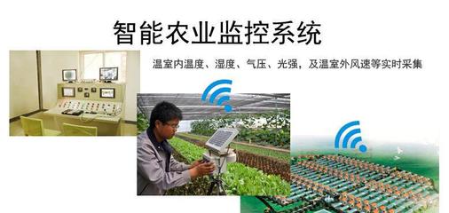 温度、湿度、光照强度与农业生产 在线气象监测技术解析