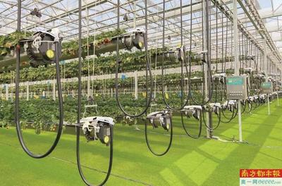 激活农业新质生产力 打造都市现代农业强市