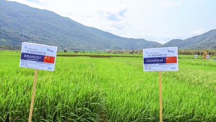 避开人潮！2020年三亚农业科技主题小众景点攻略合集