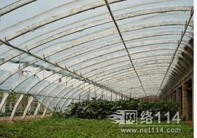 耕耘未来 农业科技如何重塑现代农业