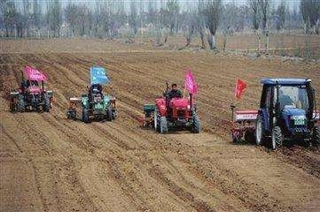 新农业科技与信息技术融合 绿色经济下的致富新路径