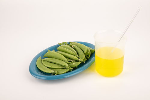 甜碗豆食品安全 农业科技、食品培育与视觉表达的交汇点