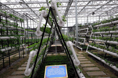 着力提升农业科技园区建设水平 信息技术领域的机遇与路径