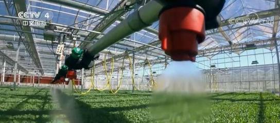 制度创新激发乡村振兴内生活力 职业农民成乡村振兴带头人