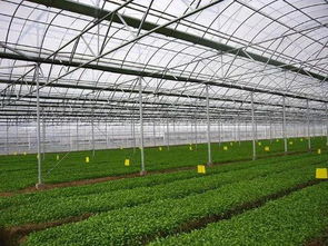 河北重奖农业科技创新单位与个人，奖金最高可达8万元