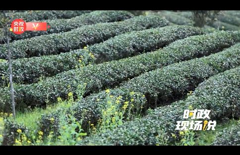 科特派 赋能农业科技的坚实力量