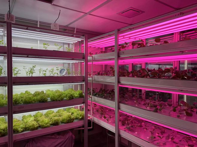 懂技术的新农人为何乡村留不住？——聚焦信息技术开发人才的困境