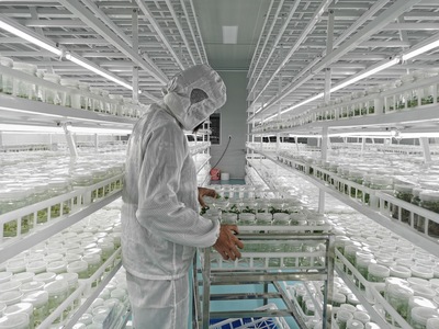 科技创新助推花卉产业“绚丽绽放”