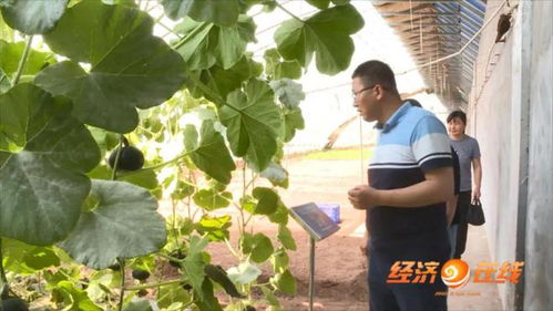 最美科技工作者 砥志研思的邱鹏程，信息技术领域的技术开发先锋