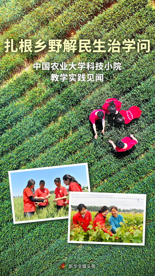 扎根乡野解民生治学问 中国农业大学科技小院教学实践见闻