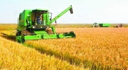 农业补贴新政出台 明年起，这3种情况将无法领取补贴，南城人必看！